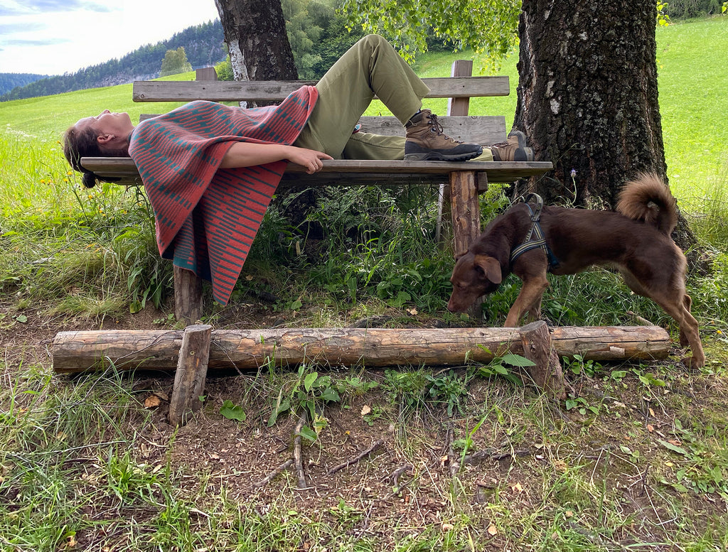 Moonrise poncho - rest in the forest - dog