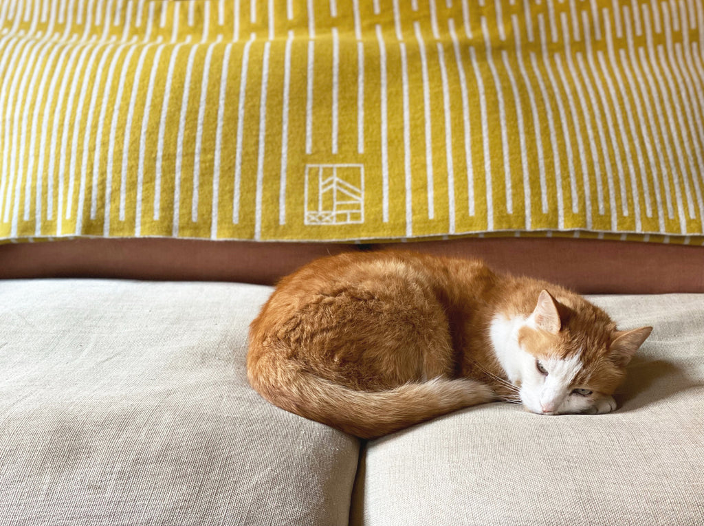 Moonrise plaid on the sofa with cat 